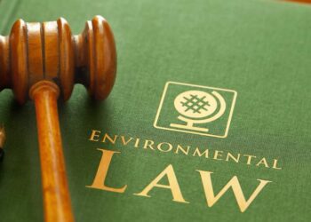 Environmental Law’s New Push Impacts Significantly on the Planet