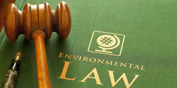 Environmental Law’s New Push Impacts Significantly on the Planet